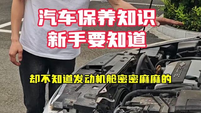 新手要知道的汽车保养知识！