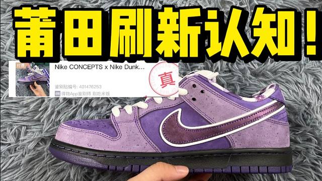 某田入手一双dunk紫龙虾，开箱测评！