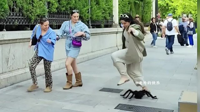 外国人这么怕蜘蛛