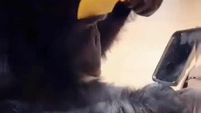 我就是全世界最帅气的男人