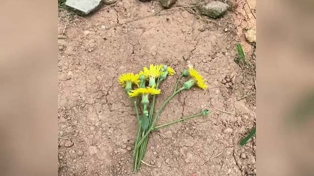 你们相信世界上有轮回吗？