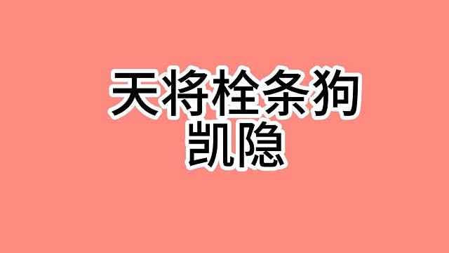 弦宝的一分钟教学：天将凯隐阵容