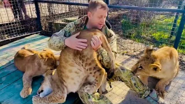 小狮子吃醋：真正的心寒不是大吵大闹