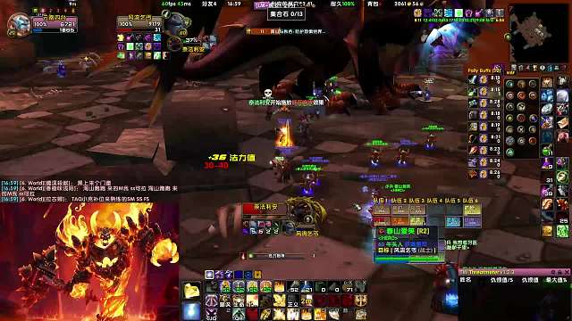 乌龟服-翡翠梦境-奈法