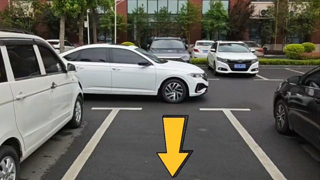 现实版右倒库，3个步骤，简单易懂新手一看就会