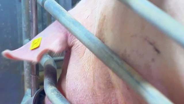 如何正确打疫苗？