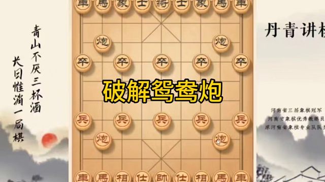 河南省冠黄丹青讲棋象棋教学，破解鸳鸯炮，讲解棋理系统学习关注不迷路，系统更新象棋教程