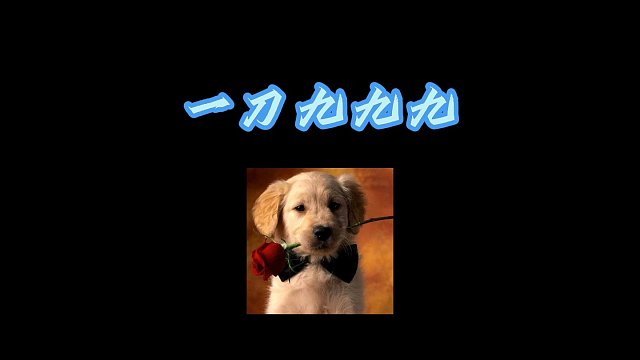 禅游指尖四川麻将直播高能名场面：一刀999，就问还有谁！！！