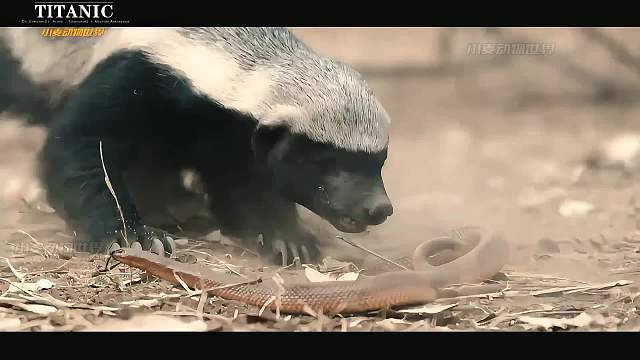 敌人真的很多，无处不在