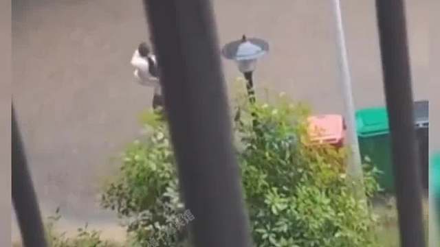 1089. 盘点那些爱情最美好的样子，太令人羡慕了