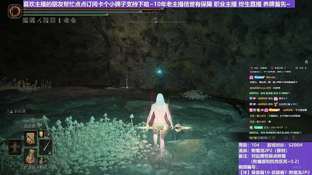 【沐】装备篇10-武器篇7-附魔流2P3番外篇88P3 双虫子P3（对比属性：雷or圣）