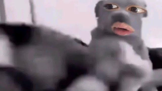 546. 狗子 -现在开心了吧