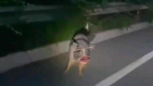 551. 猪 -我都无语了