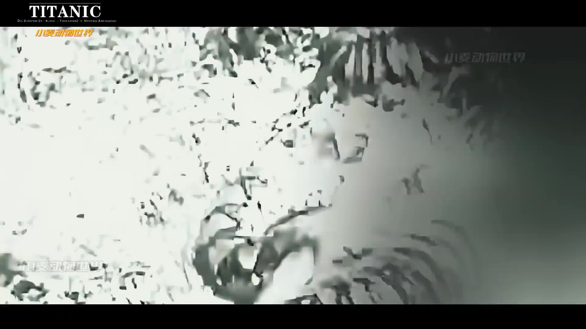 跨界王者的对决