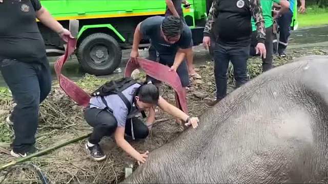 原因竟然是这样