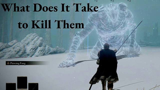 法环：最旦疼的敌人