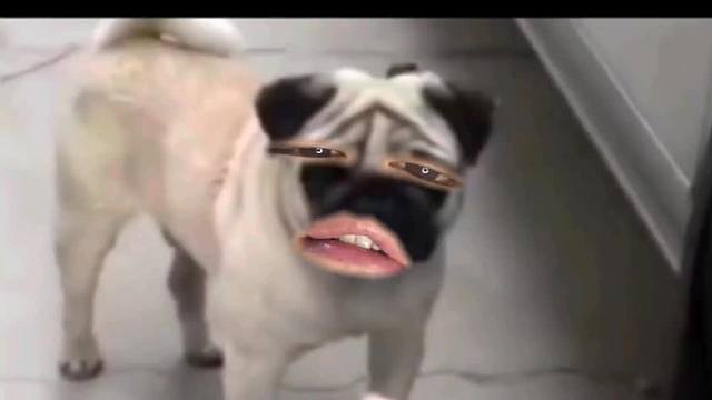 555. 子 -这地盘我画定了，谁来也不好使