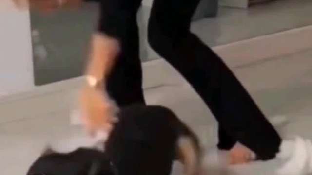 556. 狗子 -我犯天条了吗我