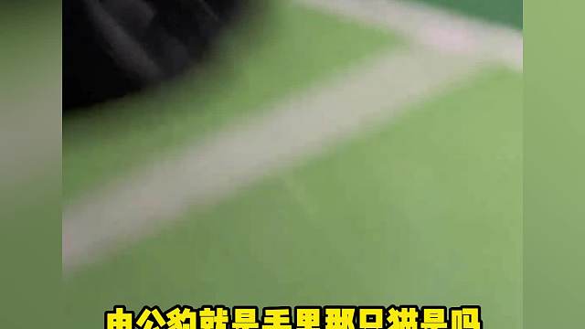 75. 地府的怎么也能下单了？