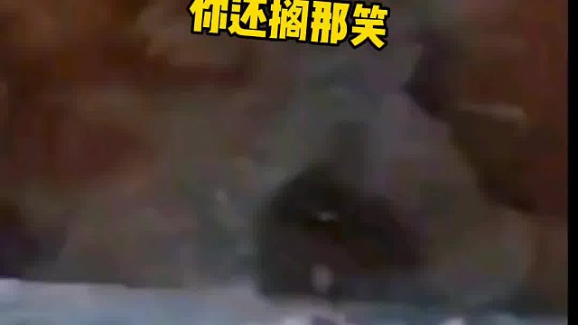 558. 狗子 -我真的会栓q哦