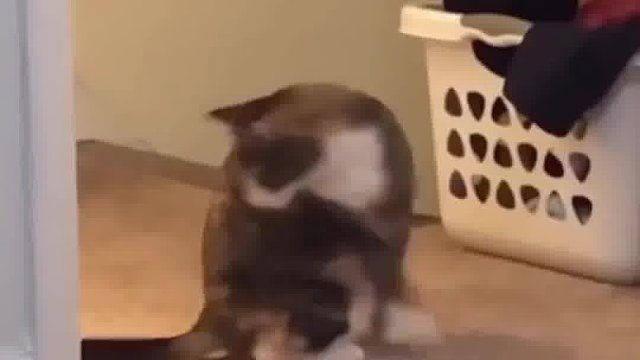 这啥味儿啊？！