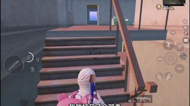 167. 帮我看看这窝马蜂是铁粉还是小黑子呢？