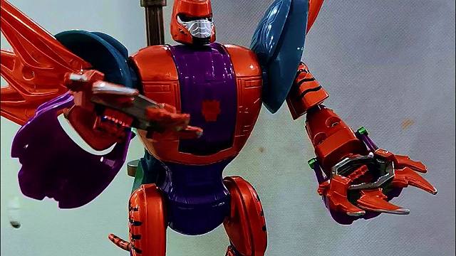 挑战全网最帅猛虎王