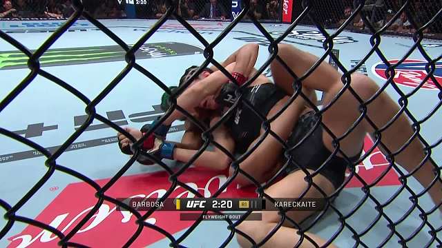 UFC301 迪奥内·巴博萨 VS 埃内斯塔·卡雷凯特 清流