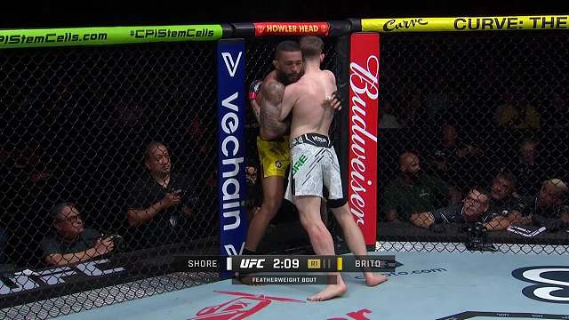 UFC301 杰克·肖尔 VS 乔安德森·布里托 清流