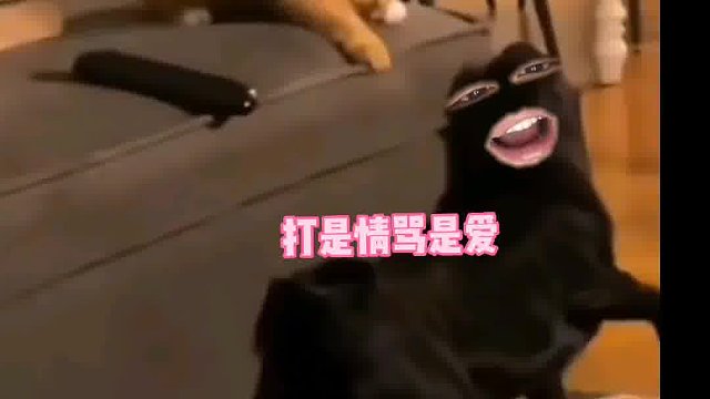 580. 狗子 -你们说说他是不是爱我到无法自拔