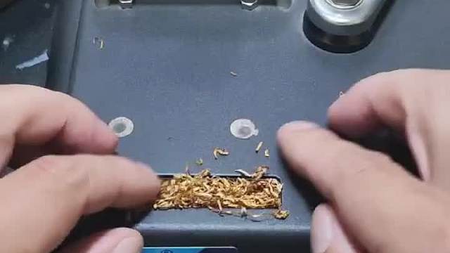 比赛间歇，给你们看个好玩的