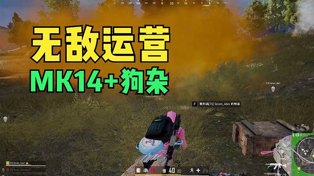 绝地求生：MK14与狗杂神搭配，队友故意送人头，只为观战主播操作
