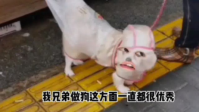 591. 子 -我也是服了