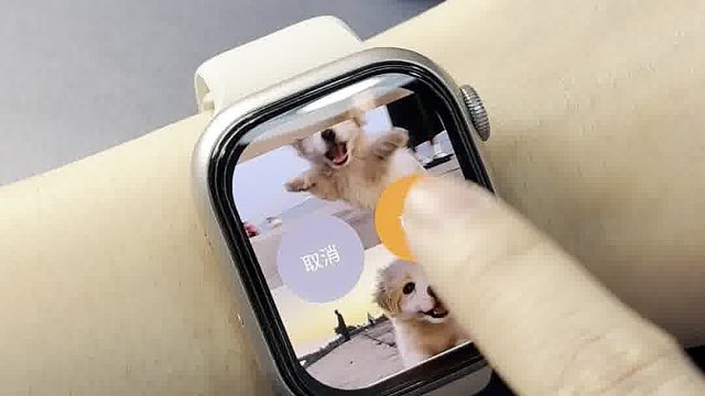 手表也太好玩了吧