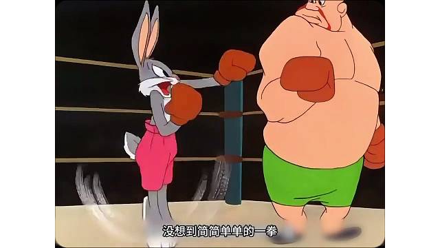 拳击的兔子