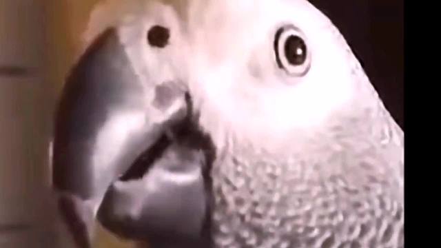 总有一些游戏一进去就知道怎么玩了