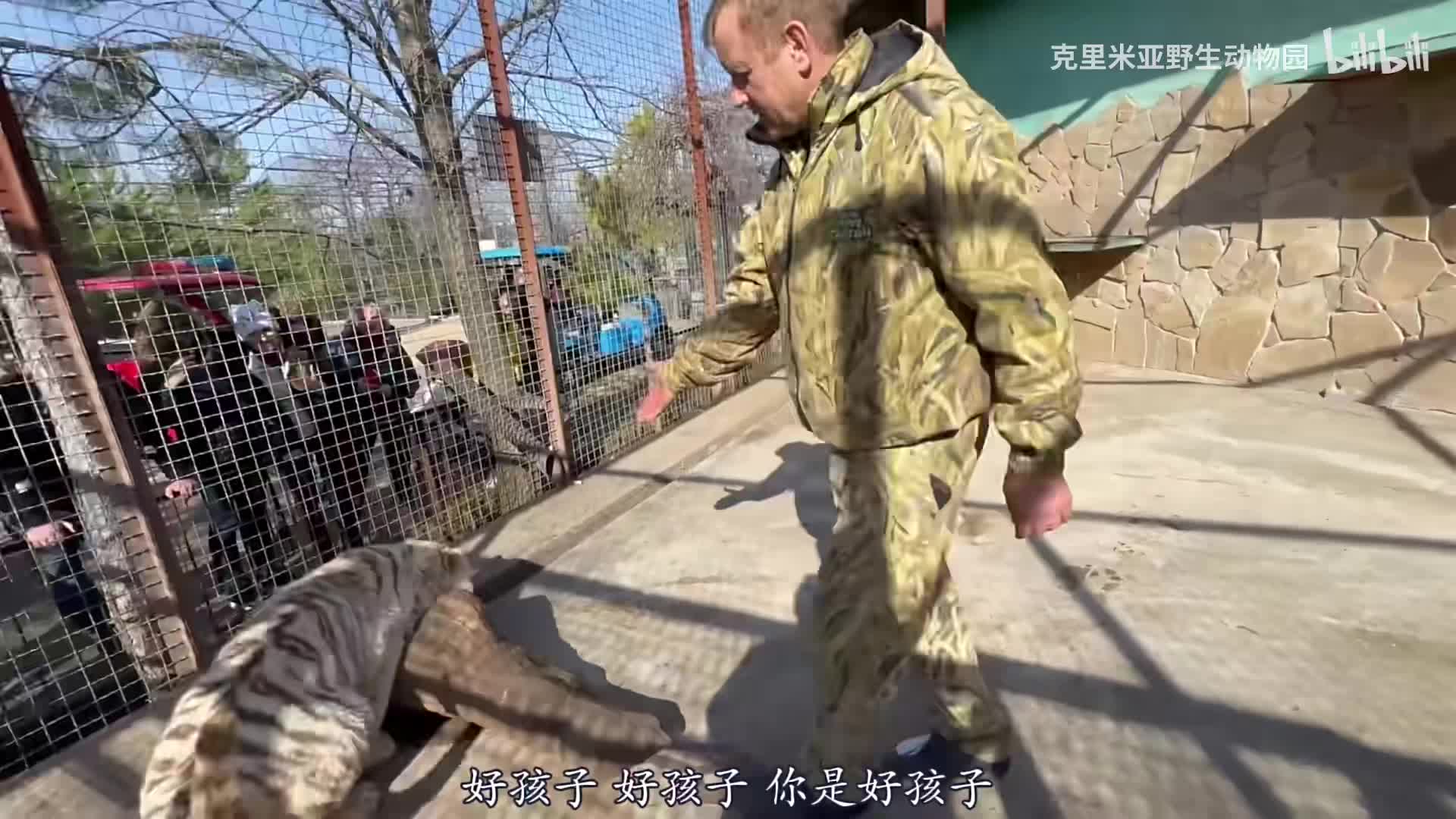 “你去把魔法拖鞋除掉”—小白虎：我？