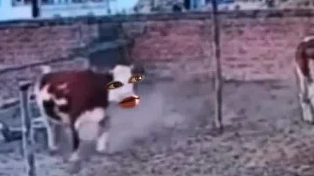 这小子有他爹那虎劲