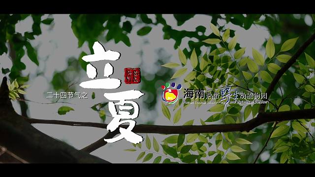 初夏的风和雨藏着旺盛的生命力