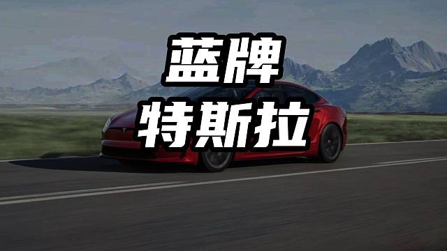 开蓝牌特斯拉的肯定有钱 开蓝牌特斯拉的肯定有钱#蓝牌特斯拉 