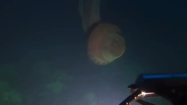 这些东西比你想象中要大得多，这个瀑布像一个深渊一样！