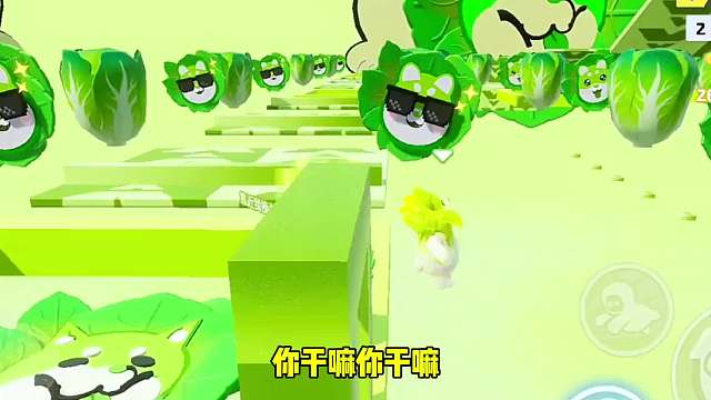 9. 我是菜狗不是白菜！