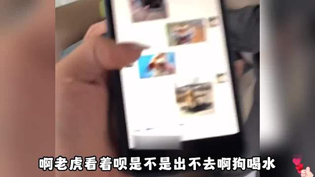 219. 盘点男人之间的特殊暗号，只有男人才懂的暗语，你能看懂几个？