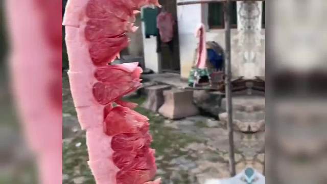 14. 盘点爷爷奶奶的欠揍孙子