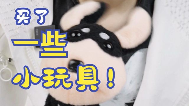 买了一些小玩具~快乐不就来了！