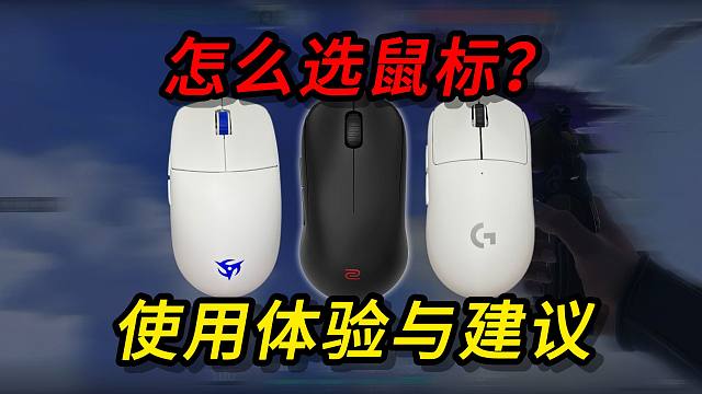 【无烂饭】自用很久的FPS游戏抓握鼠标测评与推荐！鼠标究竟应该怎么选？只买对的！