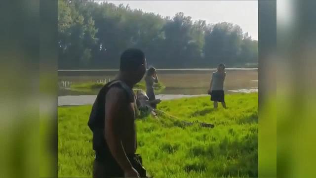 这个马桶脑子不太好