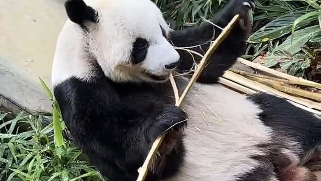 二位岛主：你就说这五一门票值不值吧