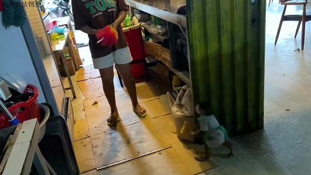 为了帮小羊还债，小猴子来到甜品店打工