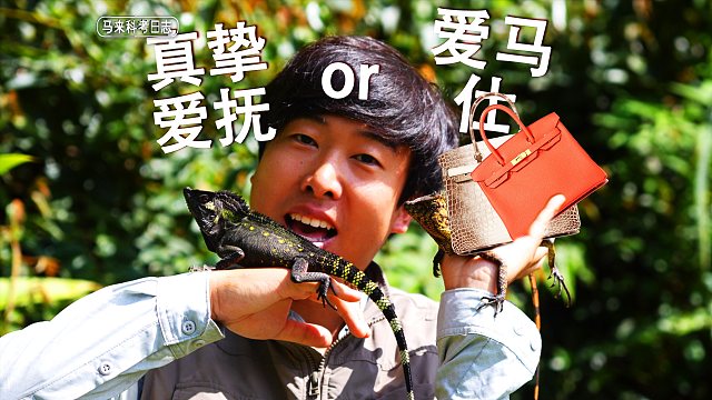 速成教学，如何拿下外表冷酷凶悍的家伙？！